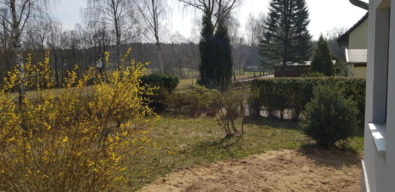 Mecklenburgische Seenplatte - Fh Mit Optionalem Steg Und Ruderboot Grosszerlang エクステリア 写真